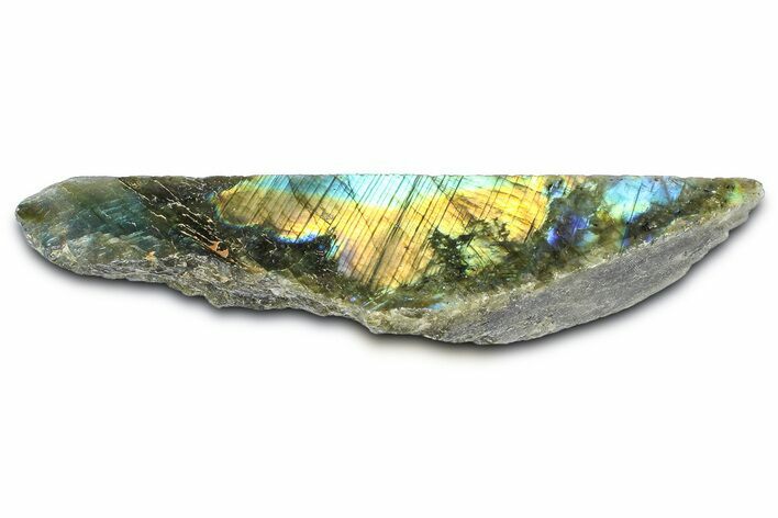 Single Side Polished Labradorite Section - Madagascar #364302